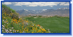 golf%20schools%20nevada001028.jpg